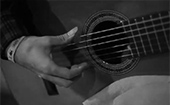Grutera